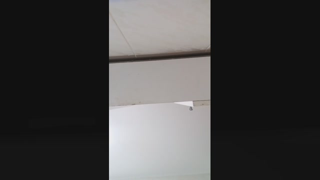 pollon745  26-02-2023